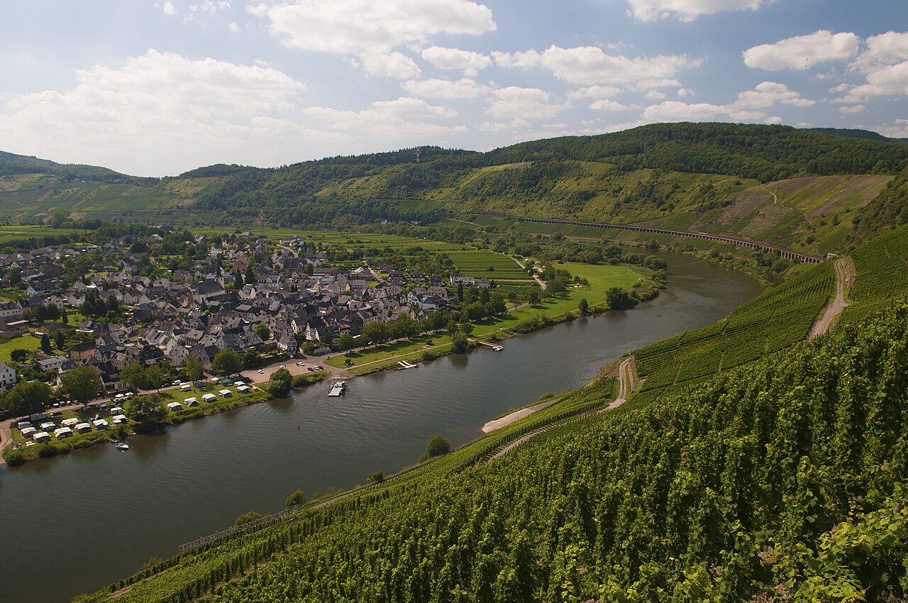 Moselschleife mit Weinbergen und einem Fluss-Anleger im Tal.